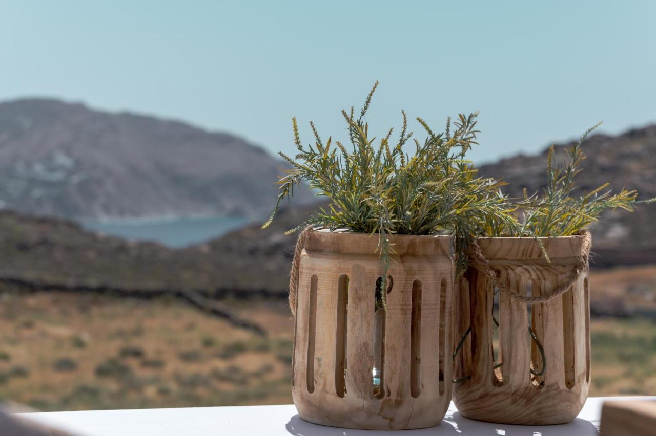 Anemela Villas & Suites Mykonos Agrari  Exteriör bild